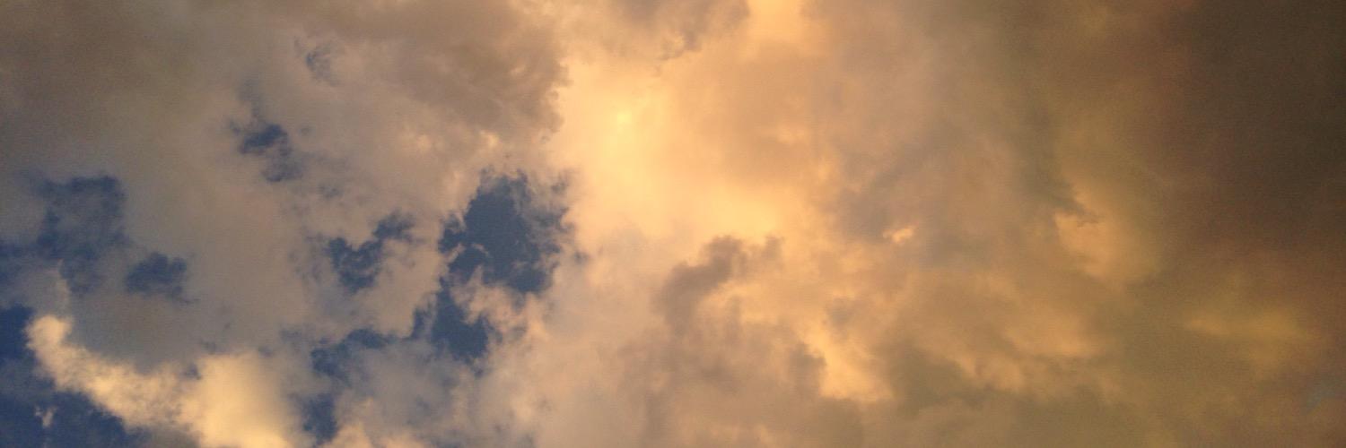 FoxNora's profile banner image