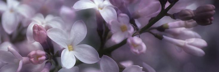 Room82Aoki's profile banner image
