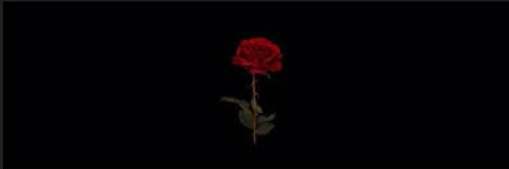 Quê Marques💝 banner