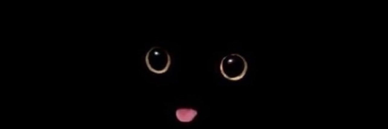 ksheikkh's profile banner image