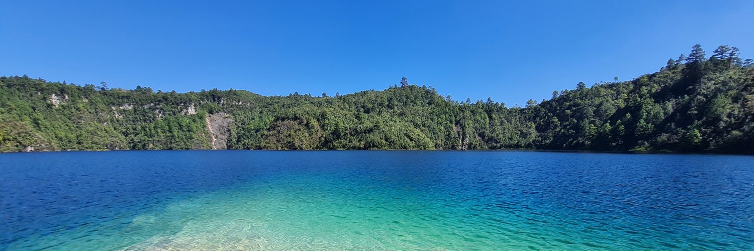 chiminisqui's profile banner image