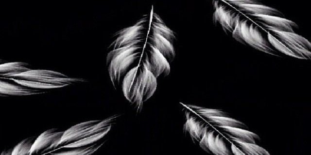 mariya25251's profile banner image