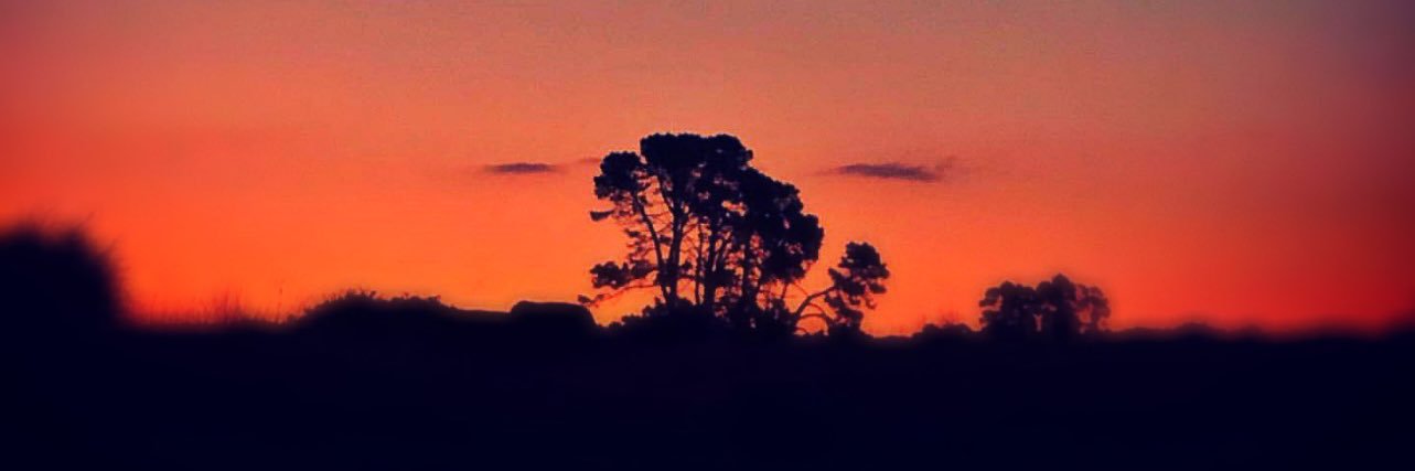 melljay3's profile banner image