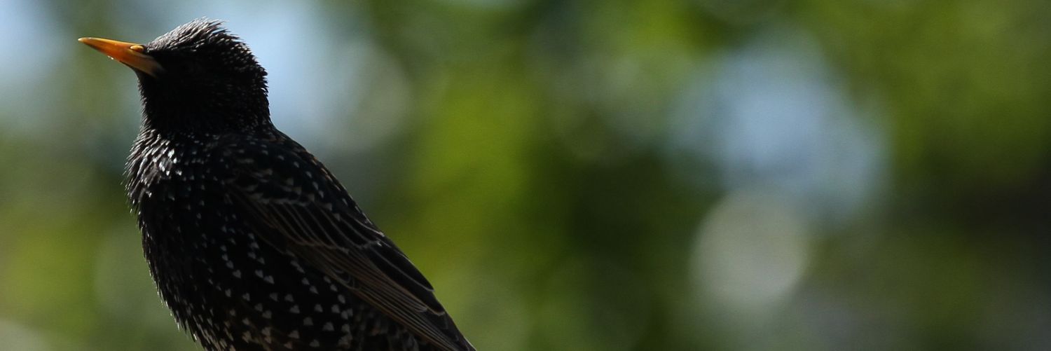 adammarshuk's profile banner image
