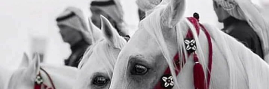 k_q24's profile banner image