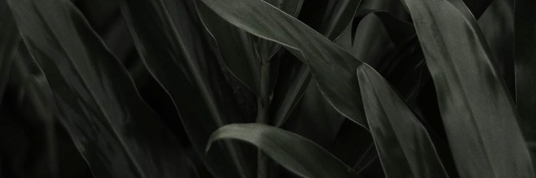 radheyeah's profile banner image