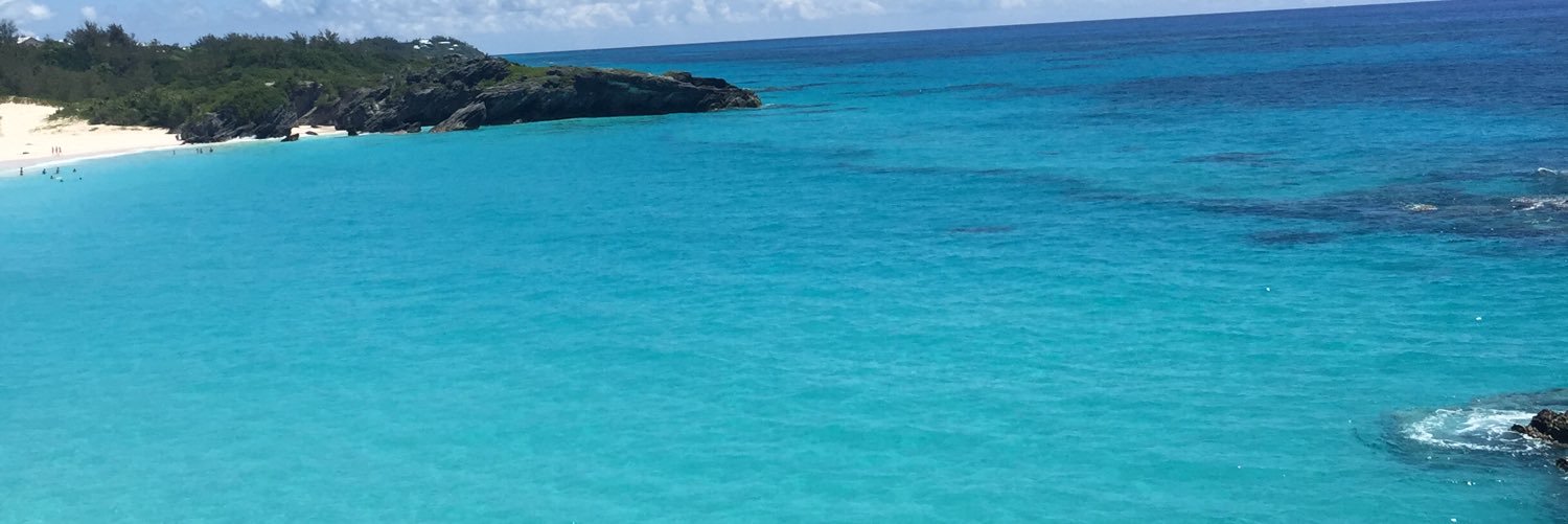 abby_regnier's profile banner image