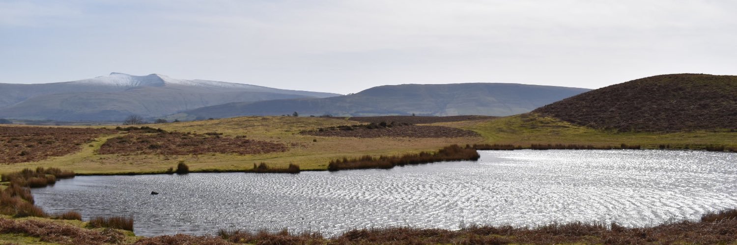 Liz Kenchington banner