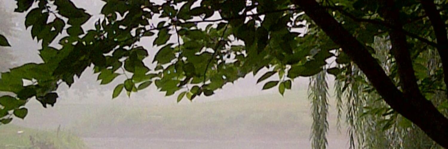 mildreth02's profile banner image