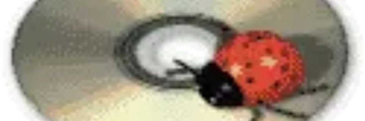 °❀⋆.ೃ࿔*:･ banner