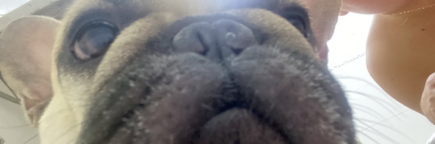 douradoboni's profile banner image