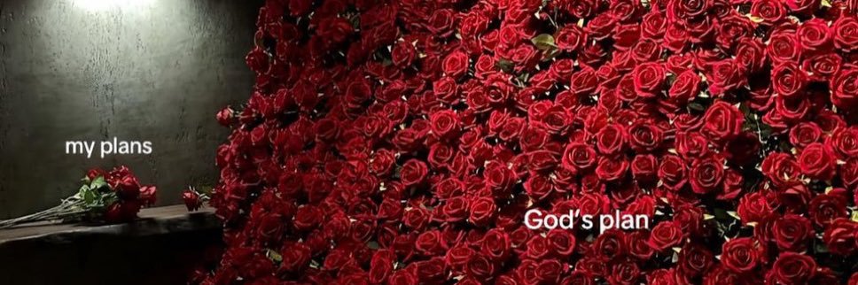 jadaamonet's profile banner image