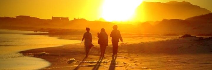 Zureena_S's profile banner image