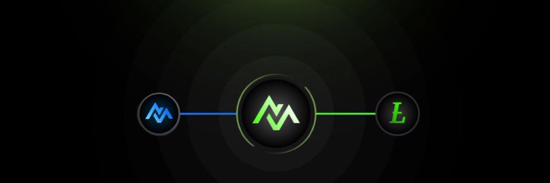 cryptobenthic's profile banner image