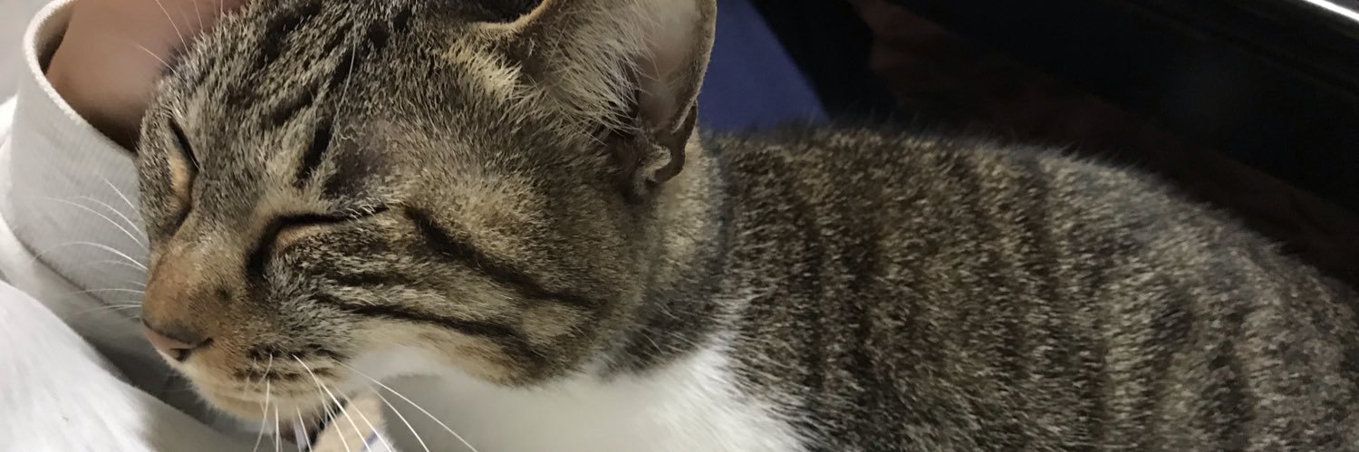 Pocky1Km's profile banner image