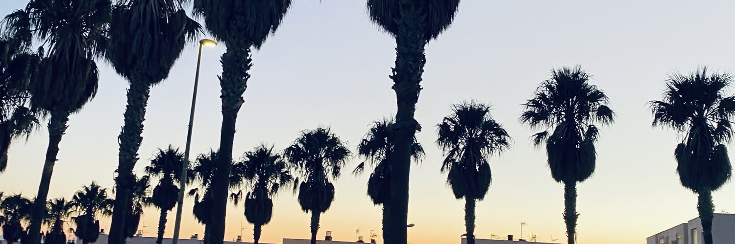 CamilleBug1's profile banner image