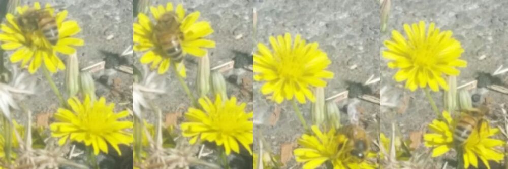 amber0345's profile banner image