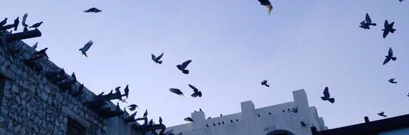 Are1247You's profile banner image
