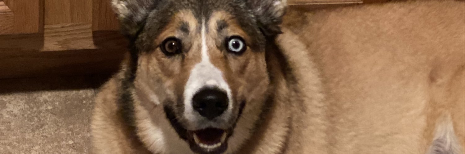 KayKayThePanda's profile banner image