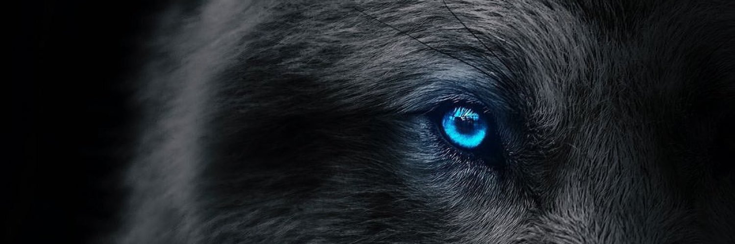 AHN_dray's profile banner image