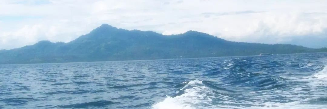 raja banner
