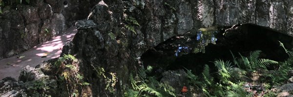 pinkurlers Profile Banner