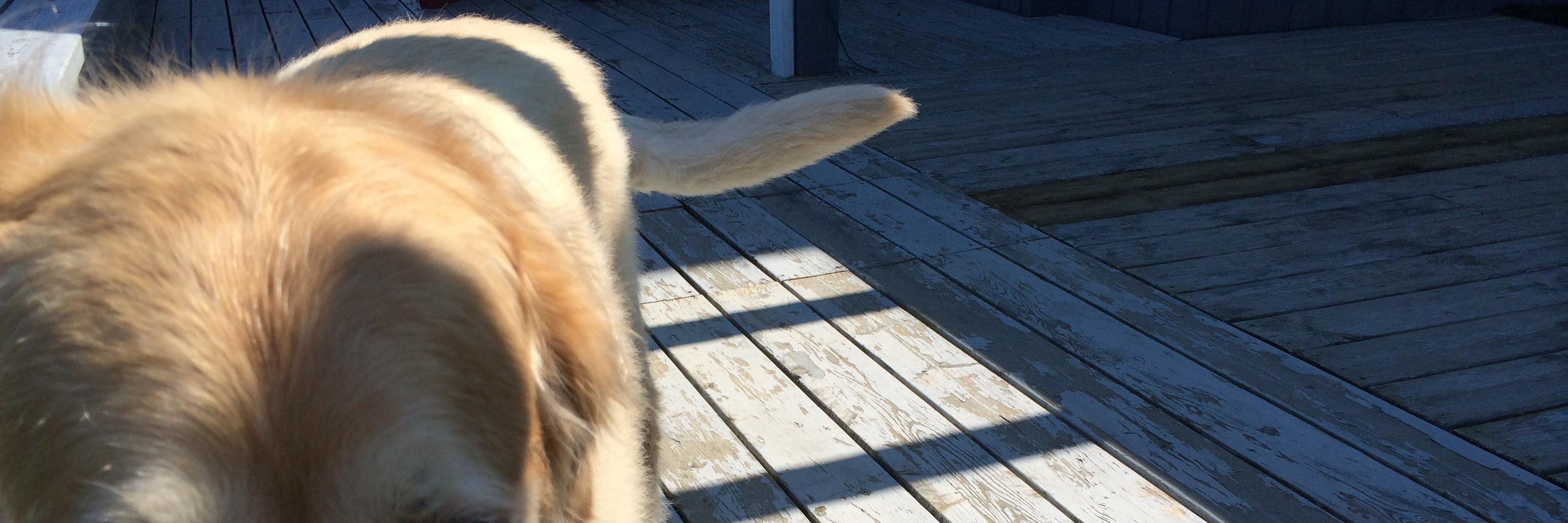 GillianPlummer's profile banner image