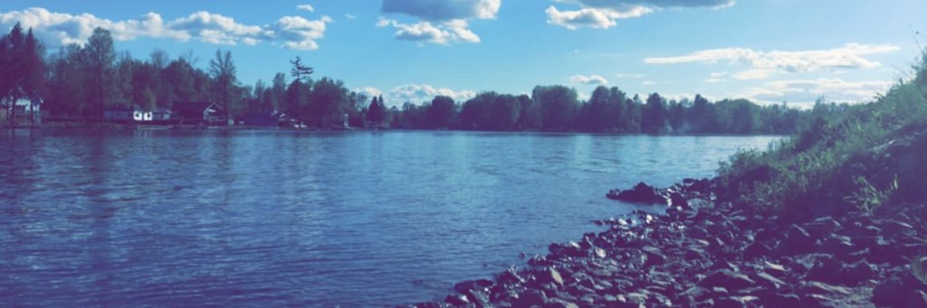 lexi_miron's profile banner image