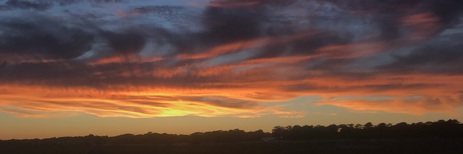 lexifayebrown's profile banner image
