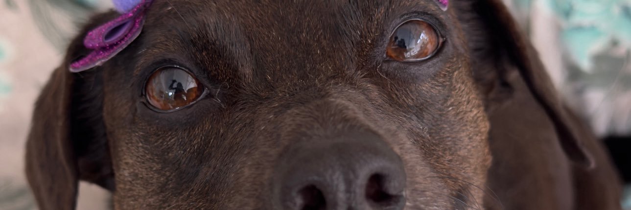 Mari Tegon ⚡️ banner