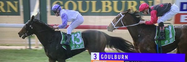 braceyjames Profile Banner