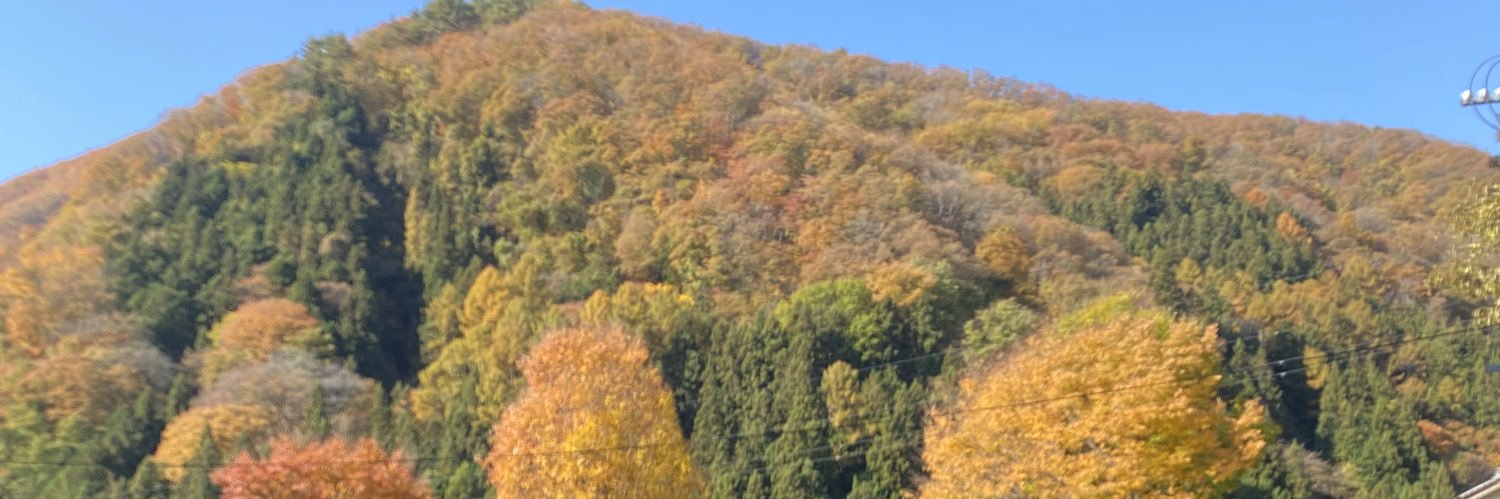 takeuchi_grape's profile banner image