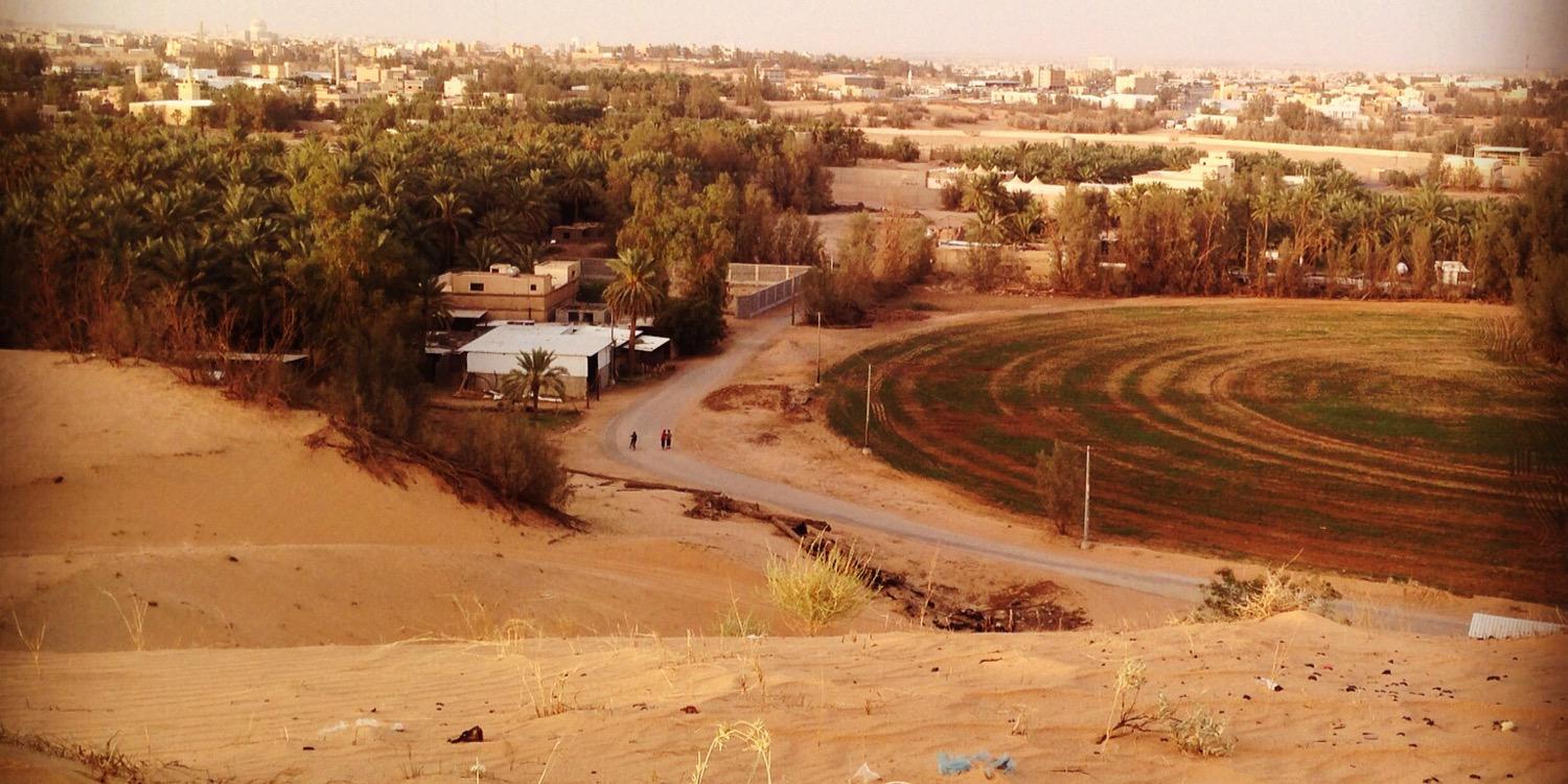 محمد العجاجي banner