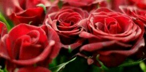 imahayati's profile banner image