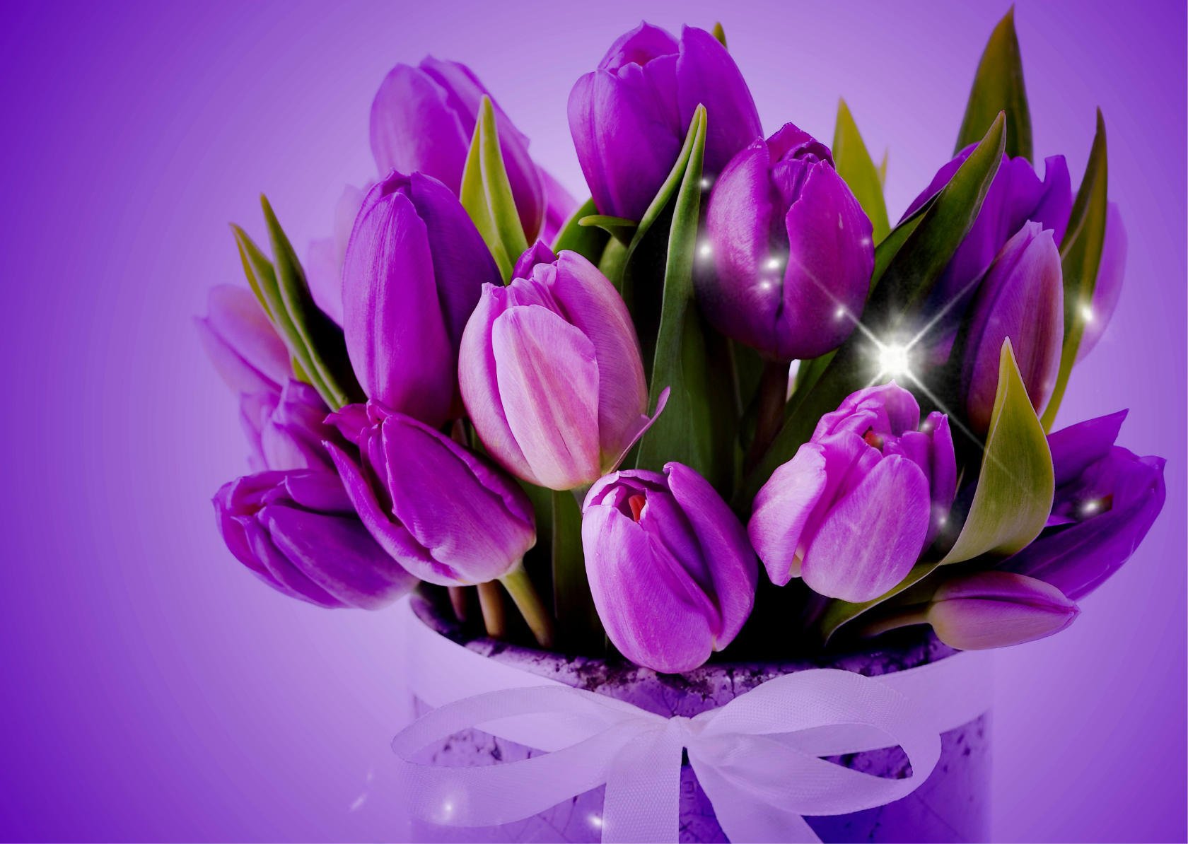 MargoEsta's profile banner image