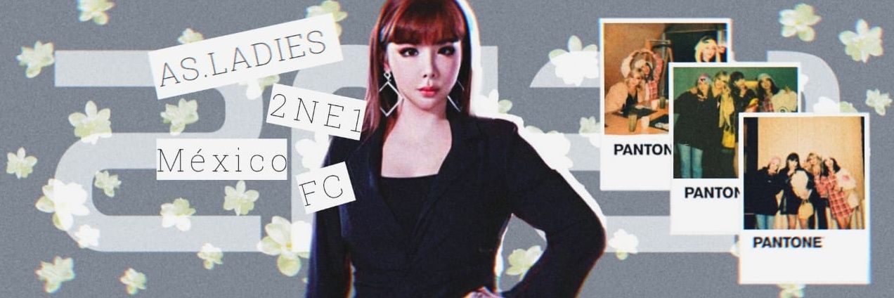 AS2NE1MEXICO's profile banner image