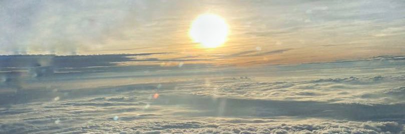 ayminglee's profile banner image