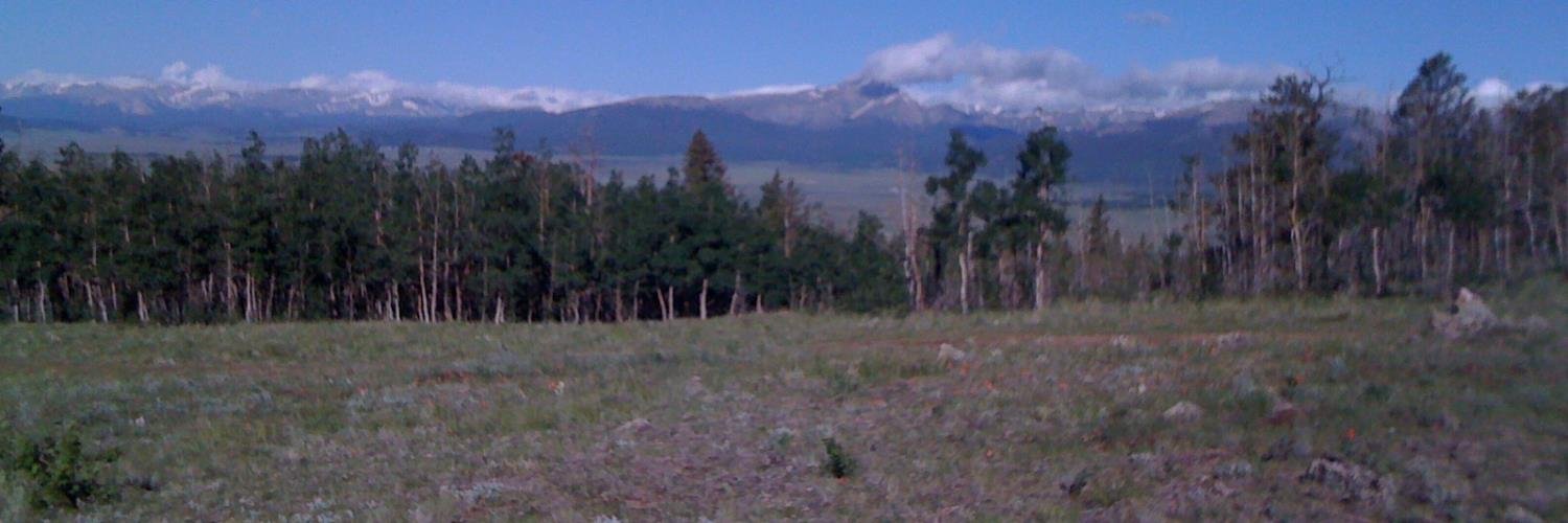 DefendColorado banner