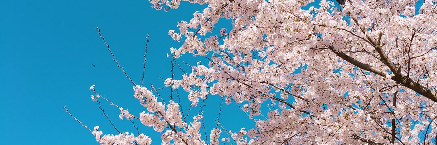 bae♡ྀི • mt after dm banner