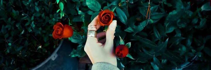 nlmab1991's profile banner image