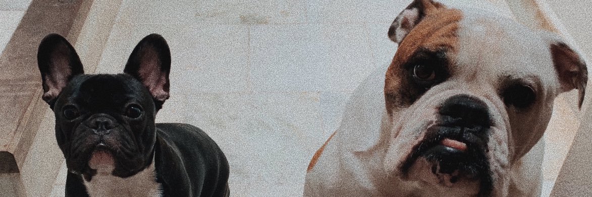 cuqui_isabel's profile banner image
