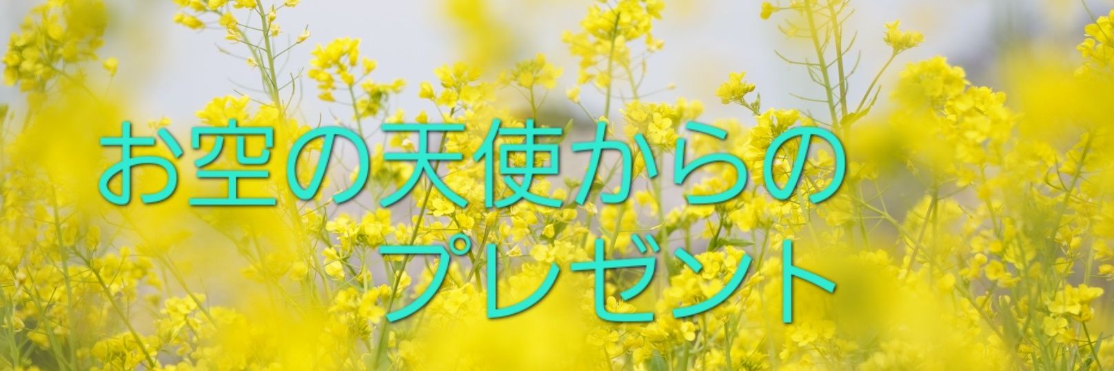 aoitoikiru's profile banner image