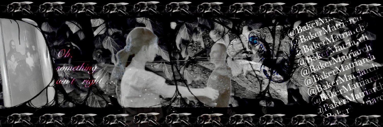 BakerMatriarch's profile banner image