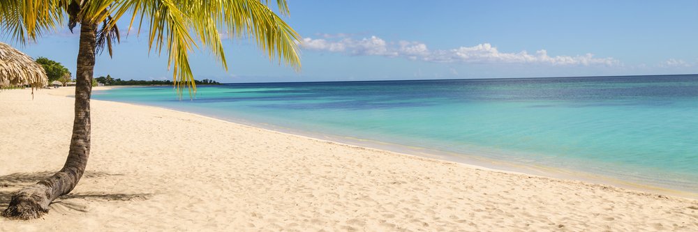 Tommy Vazo banner
