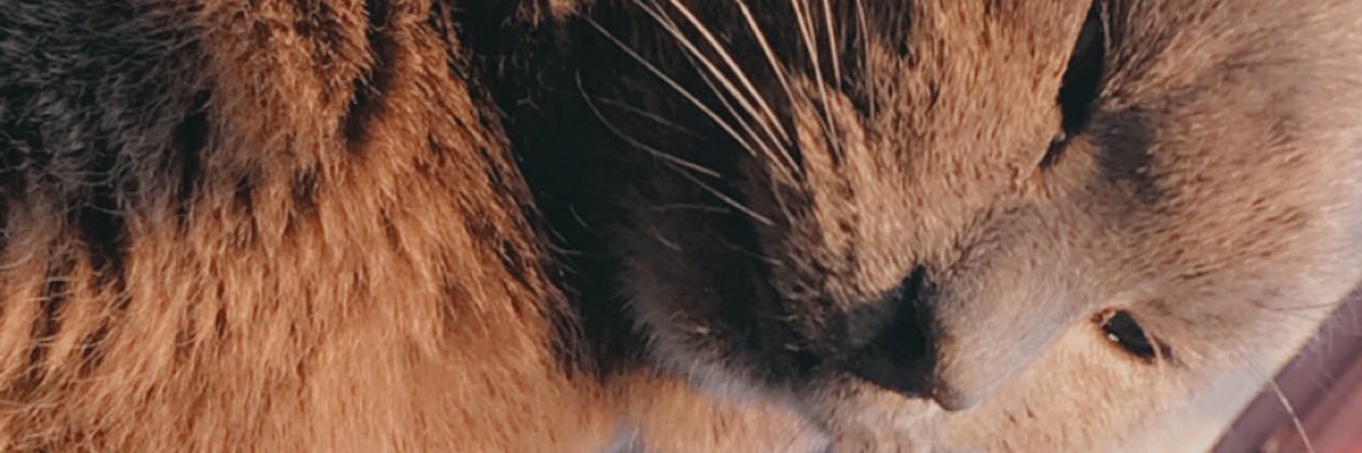 _hejt's profile banner image