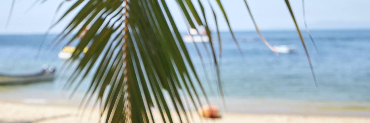 robdombi's profile banner image