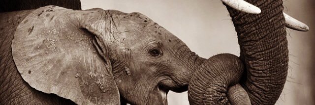 srupatel1's profile banner image