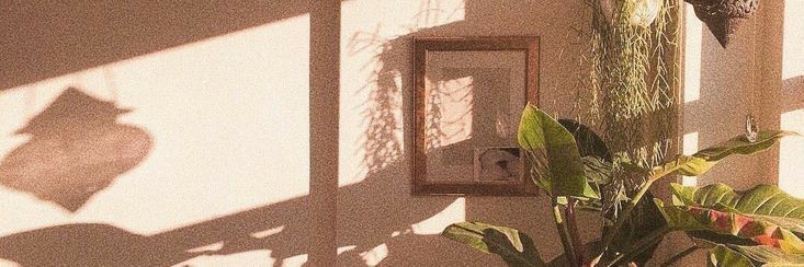 xiaowf__'s profile banner image