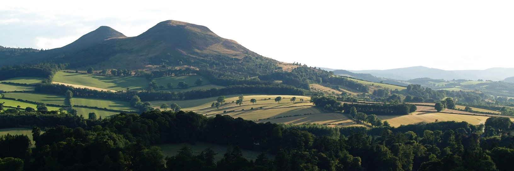 Jeremy Purvis banner