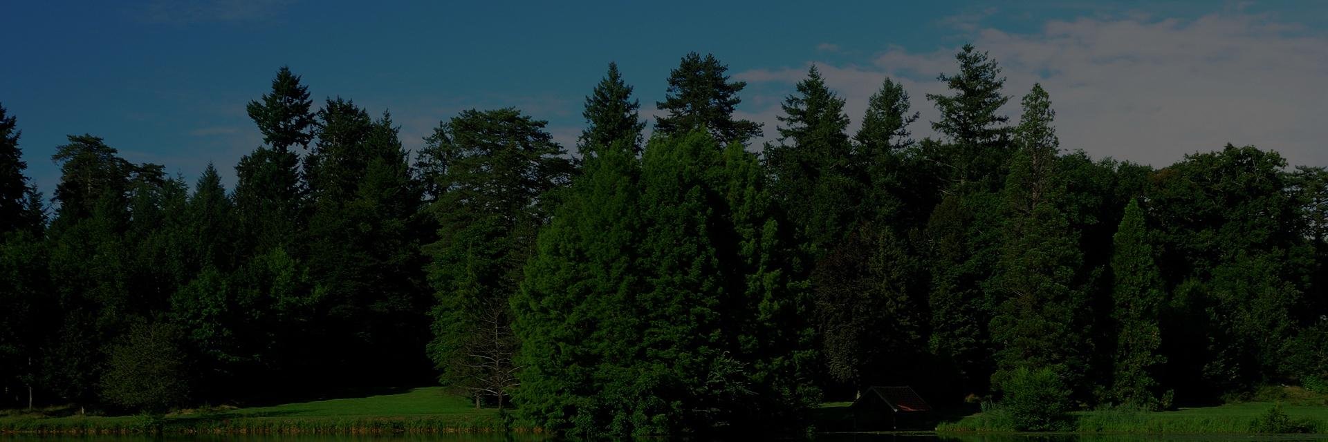 ThagMe's profile banner image